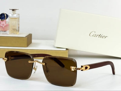 CARTIER - CT 0609 - 59 17 143