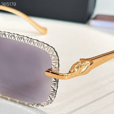 CARTIER - CT 08226 / 06122 - photochromic lens
