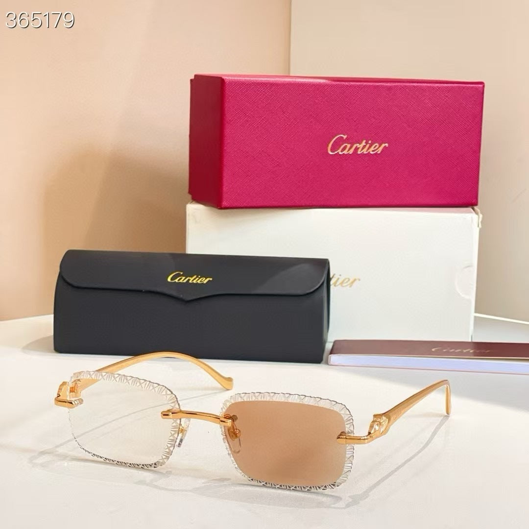 CARTIER - CT 08226 / 06122 - photochromic lens