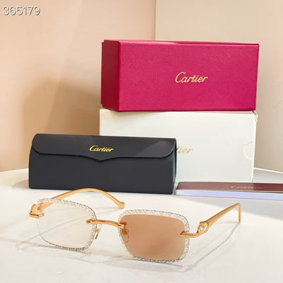 CARTIER - CT 08226 / 06122 - photochromic lens