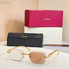 CARTIER - CT 08226 / 06122 - photochromic lens9