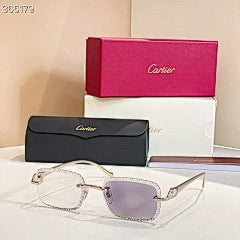 CARTIER - CT 08226 / 06122 - photochromic lens9